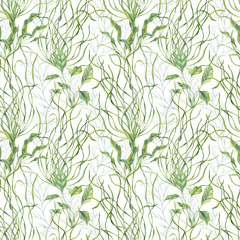 Watercolor undersea green weeds seamless pattern isolated background. Water floating plants, grass illustration. Algae, seaweed or aquarium climbing herbs ornate for marine biodiversity decor.