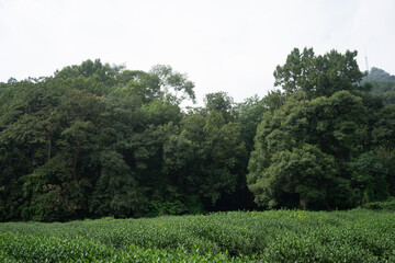 Authentic Chinese Streets and Cultural Heritage Sites – Daily Life and Historic Beauty