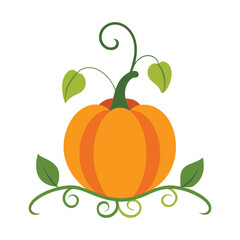 Sweet Pumpkin on Vine Vector Illustration on White Background