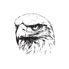 black and white eagle head vector