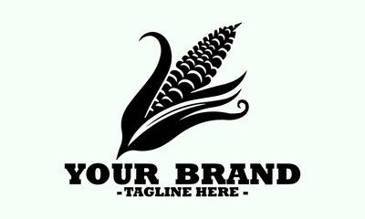 Detailed black and white line art illustration of a fresh of sweet corn. Corn food concept, corn logo design and draw black and white corn illustration, vintage corn illustration