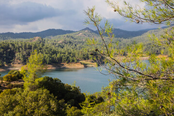 Serene Forest Lake Landscape Peaceful Nature Scenery. High quality photo