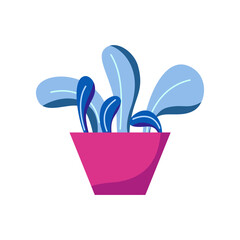 Home plant in the pot 