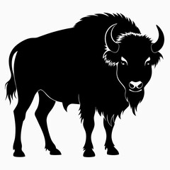 Majestic Bison Silhouette Art