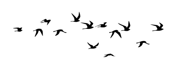 Flying birds vector silhouette, group of birds flying, flying birds flock silhouettes