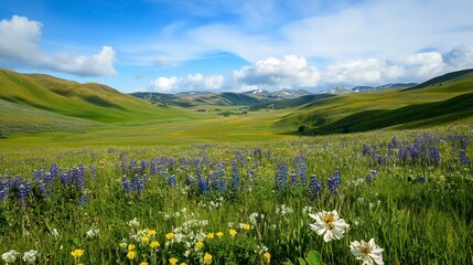 Obraz premium Idyllic Montana Valley Landscape with Wildflowers and Rolling Hills