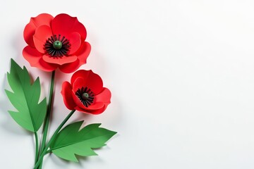 Obraz premium Close-up of paper poppy flowers with green leaves on white background, botanical, art