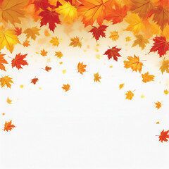 autumn leaves top border background
