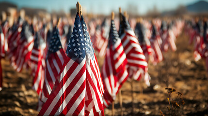 American Flags: A field of American flags waving in the wind, symbolizing freedom, patriotism, and national pride.  A symbolic and patriotic scene.