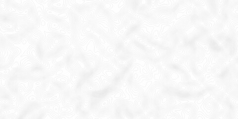 White topography topology vector white background fresh contour map texture. white seamless pattern Abstract background with a wave Topography and geography map grid abstract backdrop.