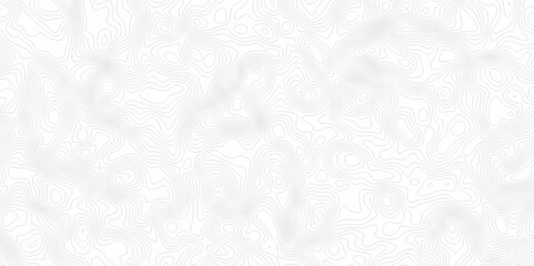 White topography topology vector white background fresh contour map texture. white seamless pattern Abstract background with a wave Topography and geography map grid abstract backdrop.