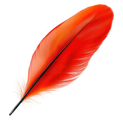 Bright orange feather with detailed barbs and graceful curve isolated on white background for decorative, artistic, or natural design purposes