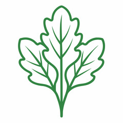 arugula isolated on white background