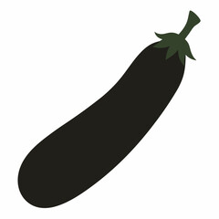 vector illustration of a zucchini