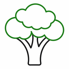 broccoli isolated on white background
