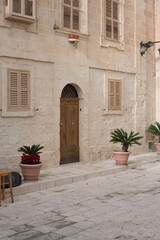 Historische Hausfassade mit Pflanzen auf Gehweg und Holztür auf Malta