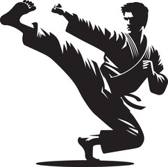 Martial artist kicking silhouette icon vector illustration on white background