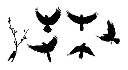 Obraz premium Set of Black Animal Silhouettes Flat Vector Collection on White Background 