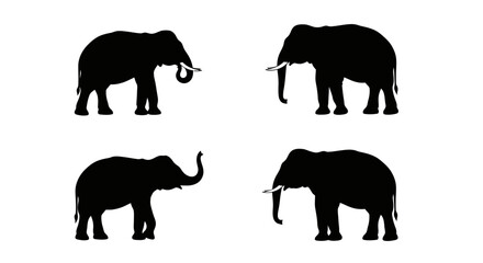 Set of Black Animal Silhouettes Flat Vector Collection on White Background
