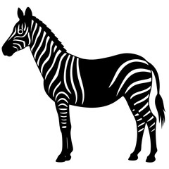 Fototapeta premium zebra vector illustration