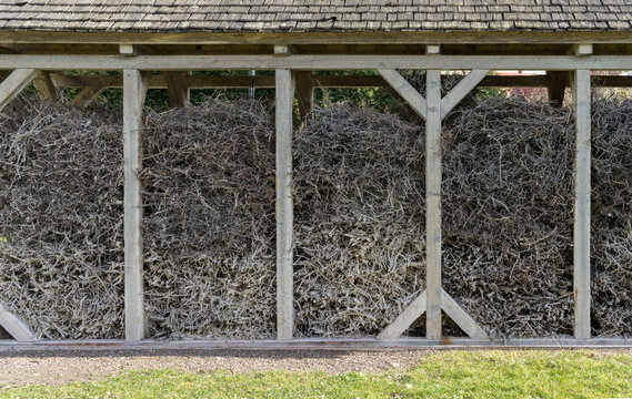 Close-up of a graduation tower with blackthorn branches