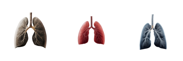 Understanding lung health an infographic on recent medical research on transparent background