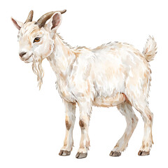 Fototapeta premium Adorable Cute Baby Goat with Horn Isolated Hand Drawn Watercolor Painting Illustration