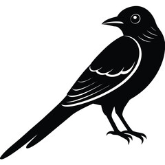 Drongo vector silhouette illustration logo