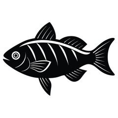 Fish icon. Fish icon vector.