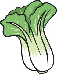 Fresh Green Bok Choy Vector Illustration with Vibrant Leaves and White Stems - Perfect for Healthy Eating and Cooking Projects