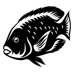 Black and white detailed vector illustration of a freshwater cichlid fish