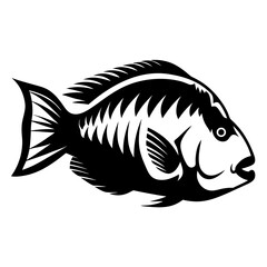 Vector illustration of an aquatic fish featuring scales, fins, and stylized form