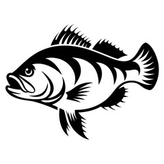 Monochrome depiction of a spiky finned fish with artistic black and white contrast