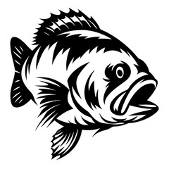Striking Black and White Bass Fish Illustration with Open Mouth Design