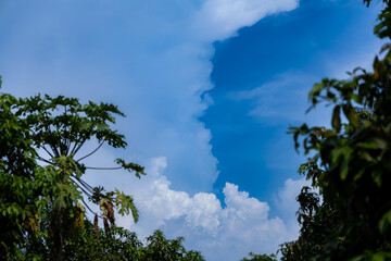 Blue Sky Filled with Fluffy White Clouds