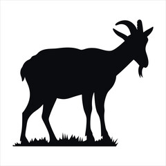 A black silhouette of a wild goat, a vector illustration of a mammal isolated on white
