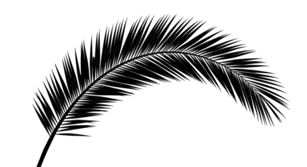 Isolated Curved Palm Leaf Silhouette in Black