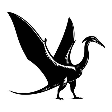 Full Body Silhouette of a Pterodaustro, Black Vector Design on White Background