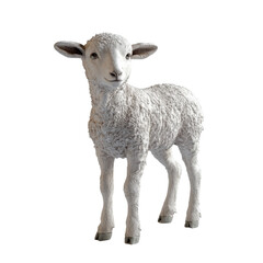 Cute Young Lamb Standing with Fluffy White Wool Against White Background