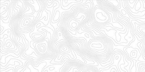Abstract topography pattern lines sea map area space geometric strip grid line topo map technology modern design white background.	