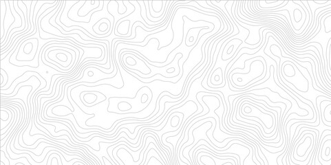 Topographic beautiful white and black contour topo wavy pattern map line design, geography map line, presentation white background. Use for template, wallpaper, web vector illustration.