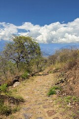 path on the camino real in colombia