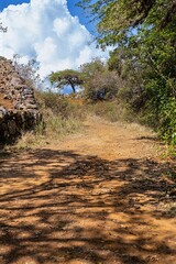 path on the camino real in colombia
