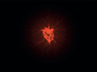 Vector illustration of hand-drawn human heart with roots on a light background. Heart shaped root.
