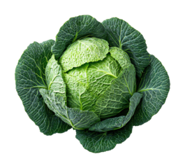 Fresh green cabbage harvest farm field food nature top view isolated on transparent background