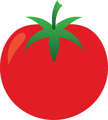 Tomato vector illustration