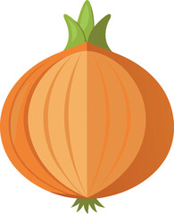 Onion vector illustration