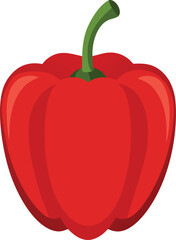 vector illustration of Capsicum