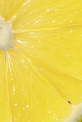 Close-up of a Lemon Slice