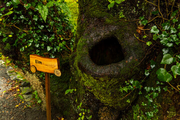 Dunvegan Castle overlooks the Isle of Skye’s coast, surrounded by manicured gardens, exotic plants and a small harbor. Historic interiors reveal centuries of heritage in a stunning natural setting.